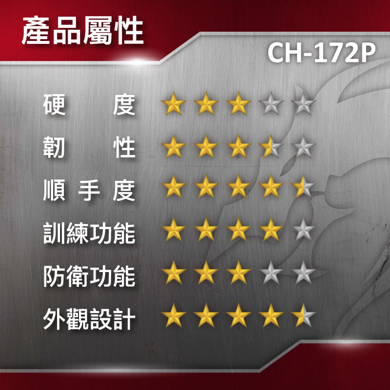 CH-172P 電鍍古銅太極劍/青冥劍 TaiChi Sword with Silver Coating Blade
